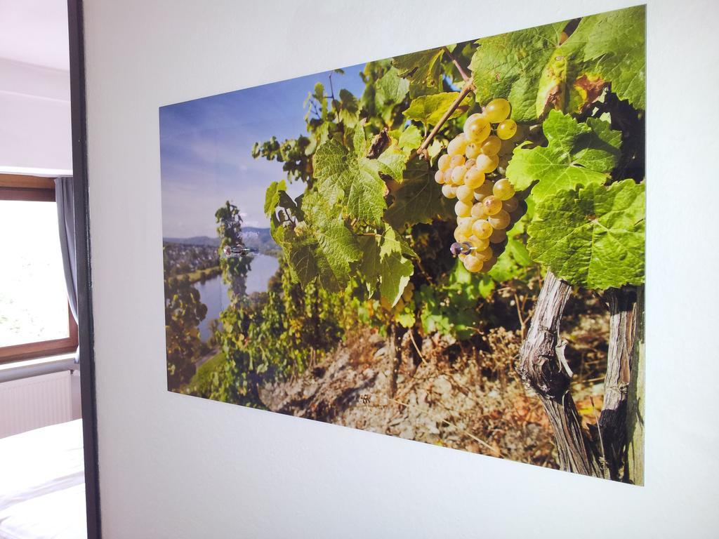 Pension Adelheid Moselhype&Wine เซลล์อันแดร์โมเซล ภายนอก รูปภาพ