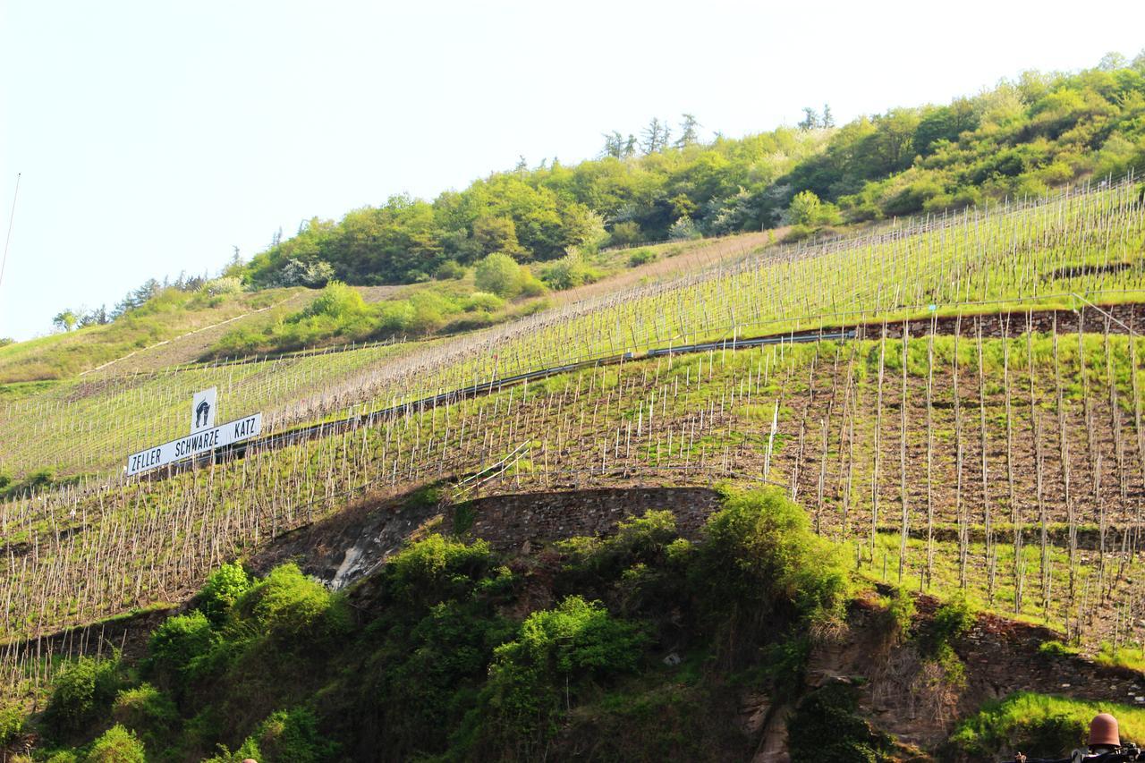 Pension Adelheid Moselhype&Wine เซลล์อันแดร์โมเซล ภายนอก รูปภาพ